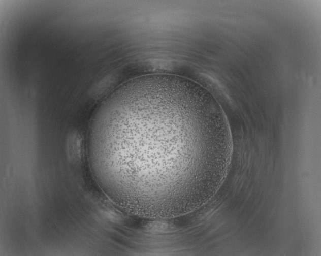 X0000074260123200609011353