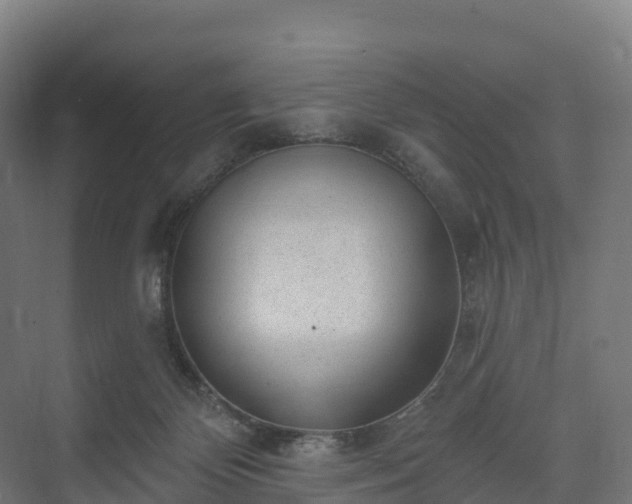 X0000074260124200609011353