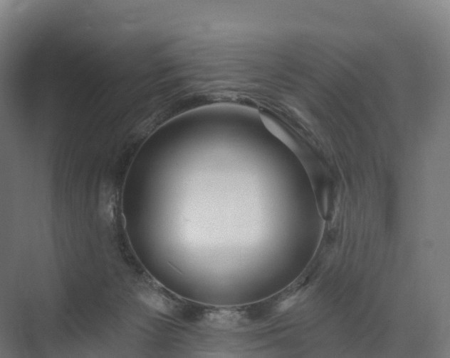 X0000074260125200609011353