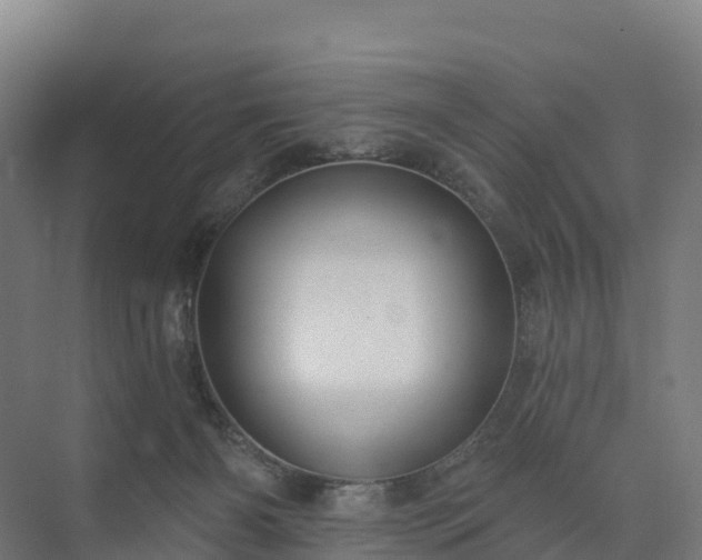 X0000074260126200609011353