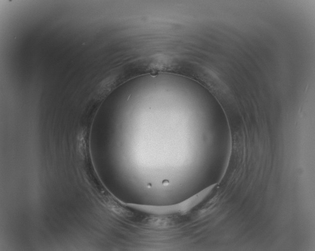 X0000074260127200609011353