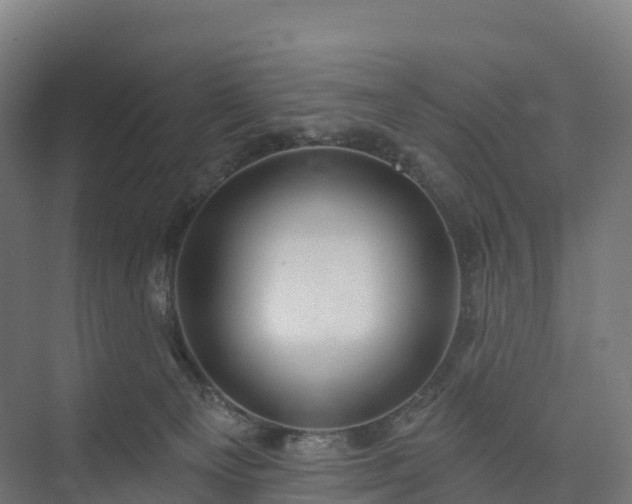 X0000074260129200609011352