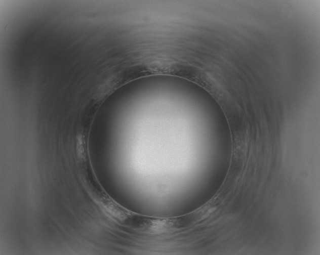 X0000074260130200609011352