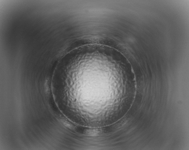 X0000074260131200609011352