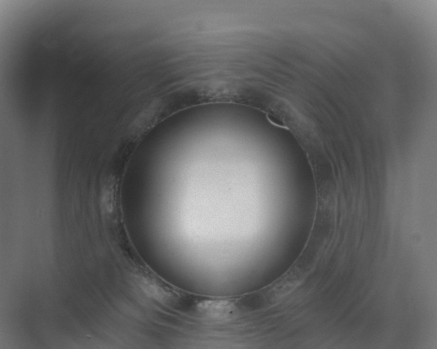 X0000074260133200609011352