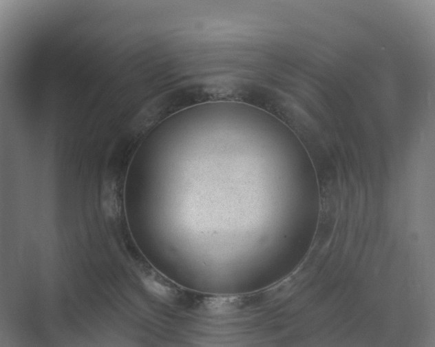 X0000074260136200609011352