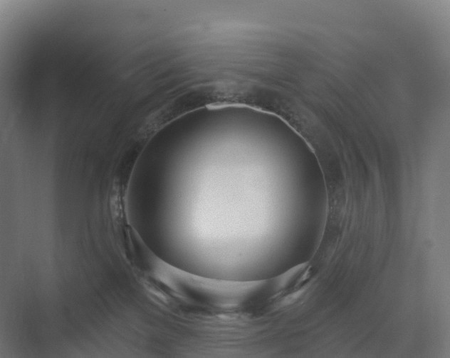 X0000074260137200609011352