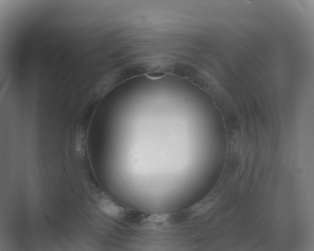 X0000074260138200609011352