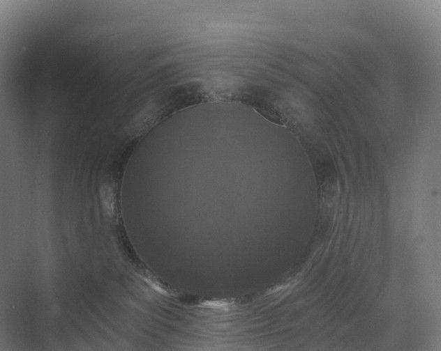 X0000074260139200609011352