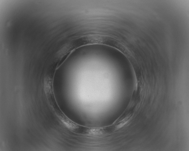 X0000074260141200609011352