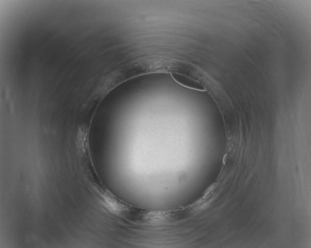 X0000074260142200609011352