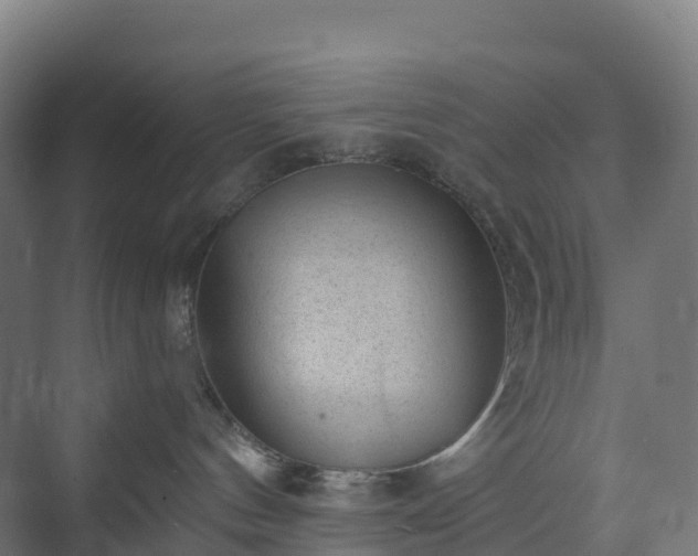 X0000074260144200609011352