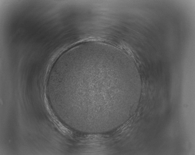 X0000074260145200609011351