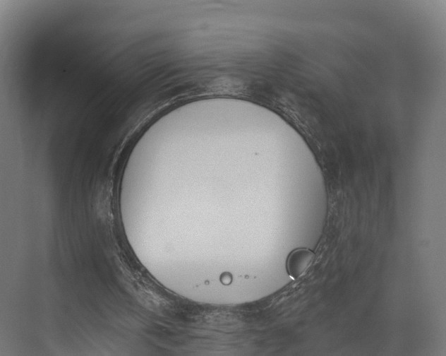 X0000074260146200609011351