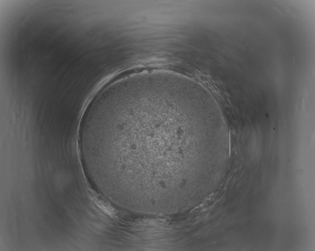 X0000074260147200609011351