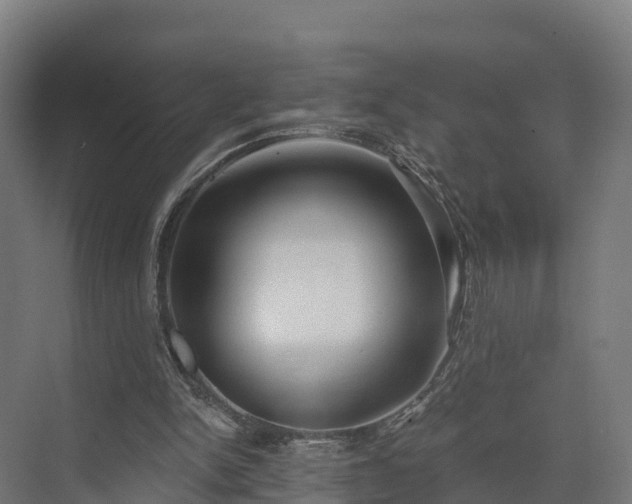 X0000074260150200609011352