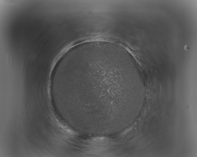 X0000074260152200609011352