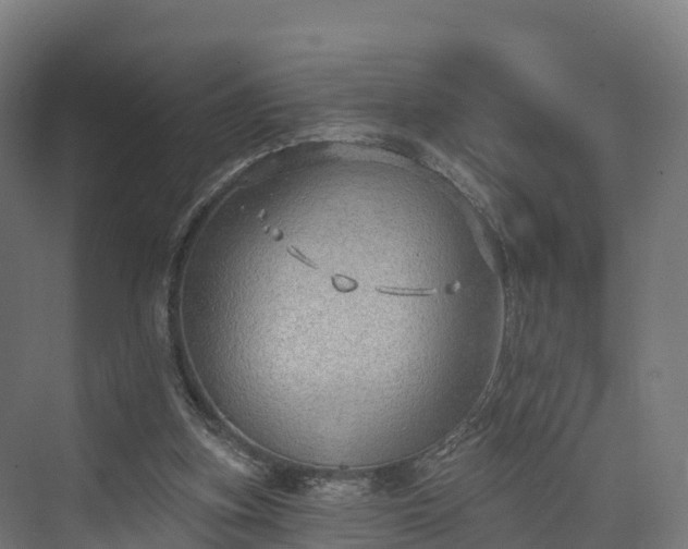 X0000074260155200609011352