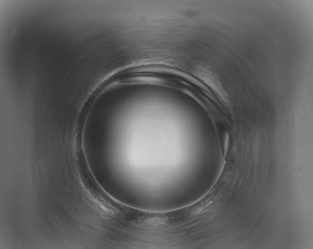 X0000074260156200609011352