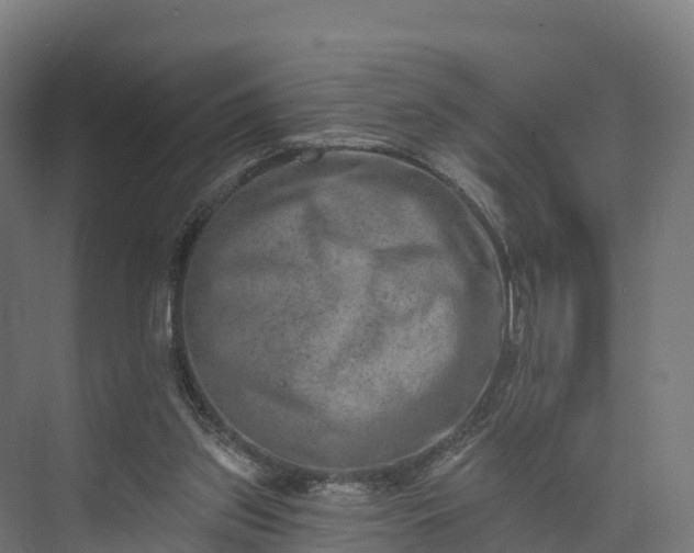 X0000074260157200609011352