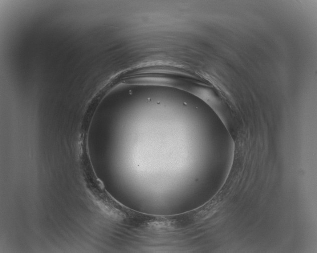 X0000074260160200609011352