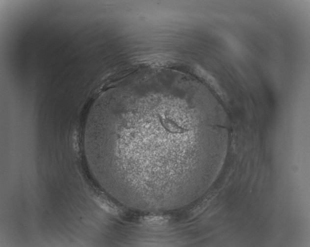 X0000074260161200609011352