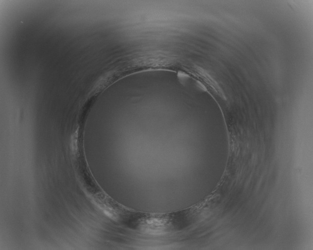 X0000074260163200609011352