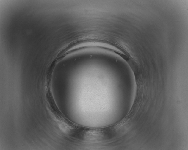 X0000074260164200609011352