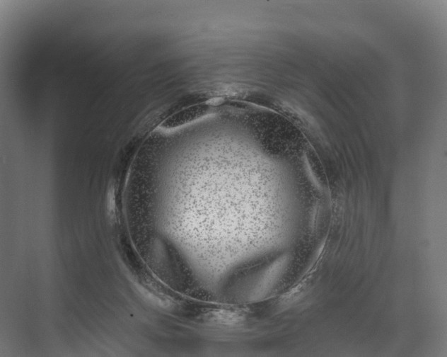 X0000074260166200609011352