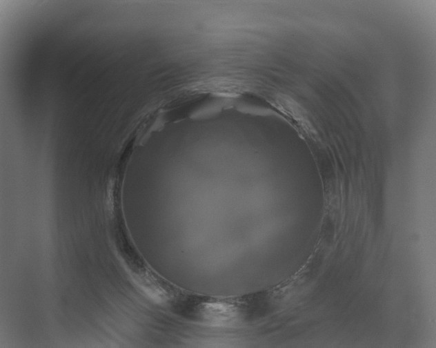 X0000074260167200609011352