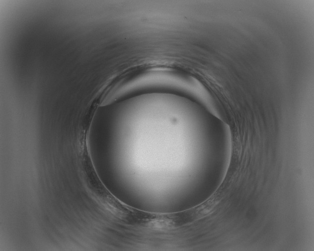 X0000074260168200609011352