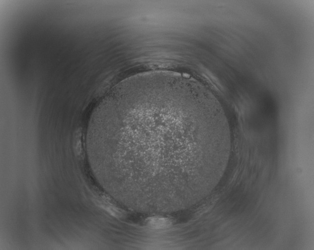 X0000074260169200609011352