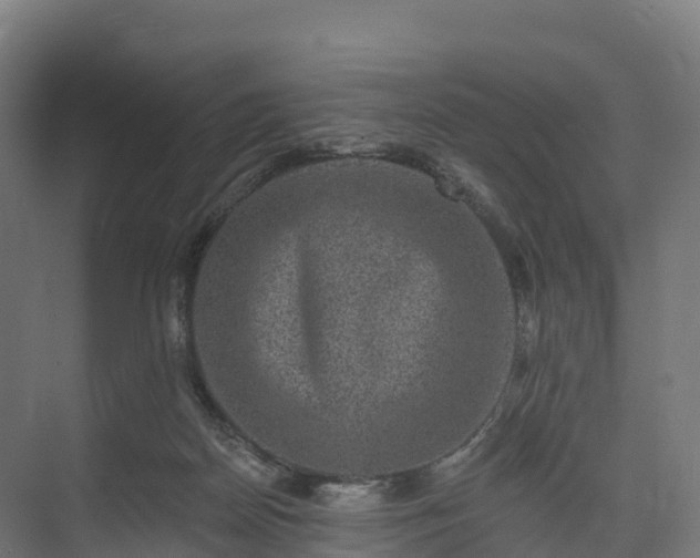 X0000074260170200609011352