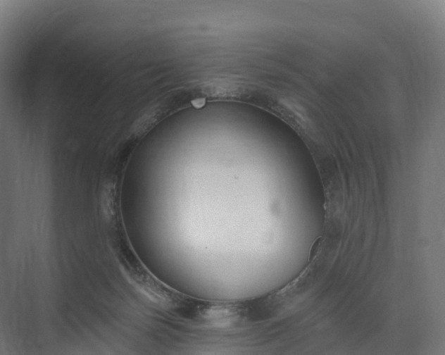 X0000074260171200609011352