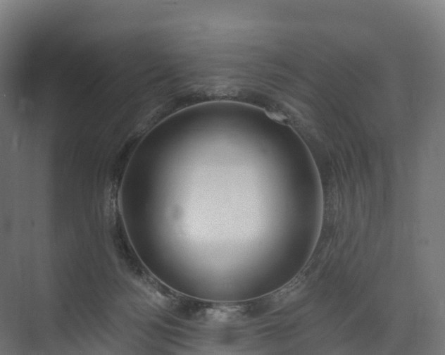 X0000074260172200609011352