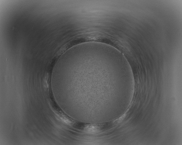 X0000074260174200609011352