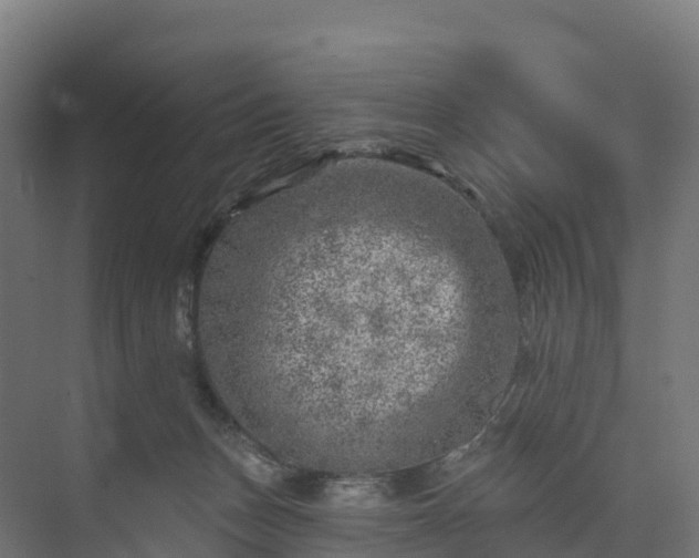 X0000074260175200609011352