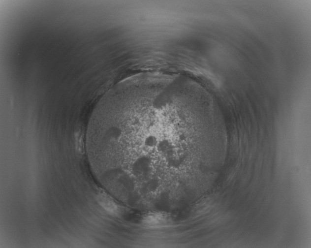 X0000074260177200609011352