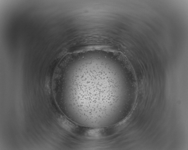 X0000074260178200609011352