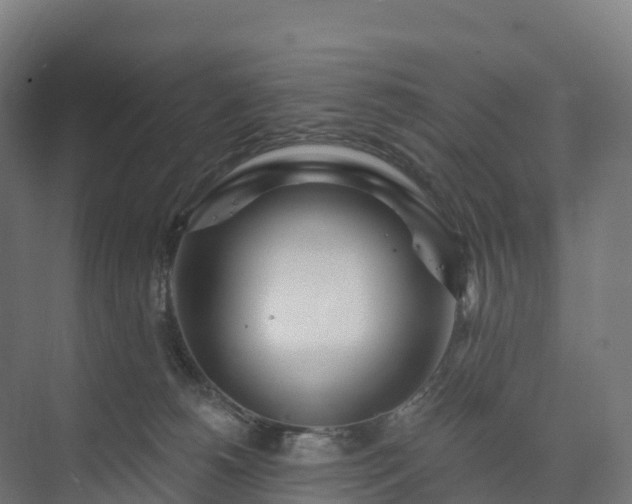 X0000074260180200609011352