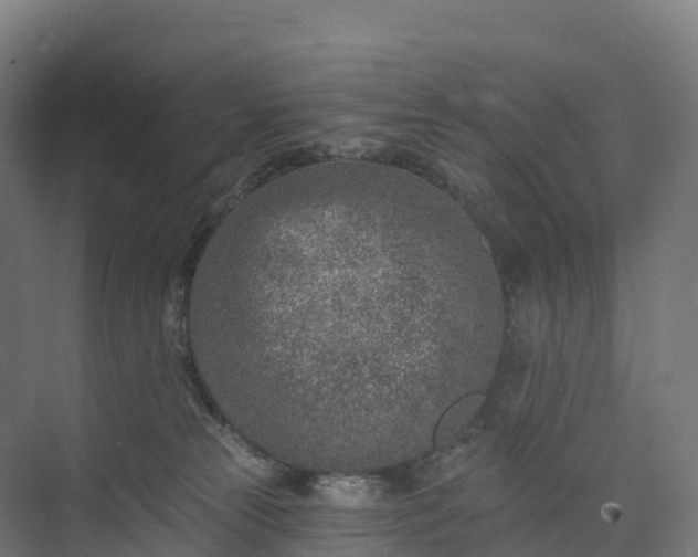 X0000074260181200609011352