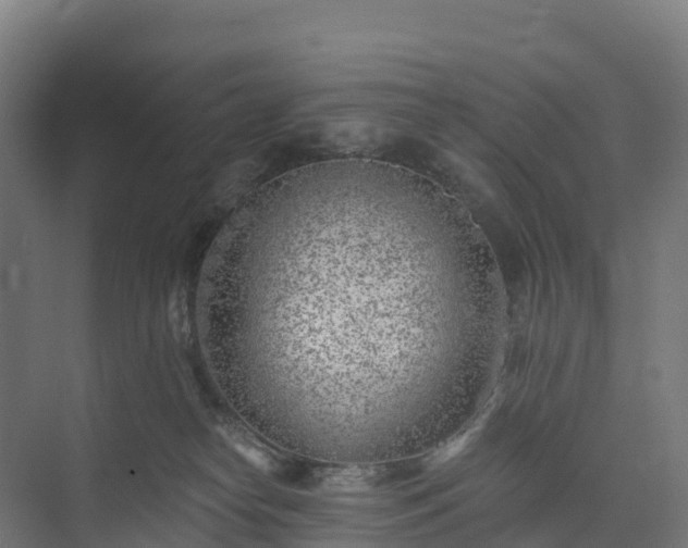 X0000074260182200609011352