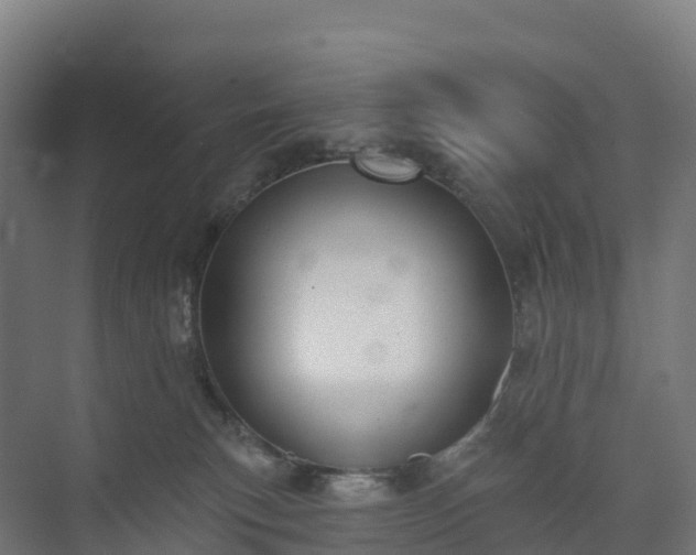 X0000074260183200609011352