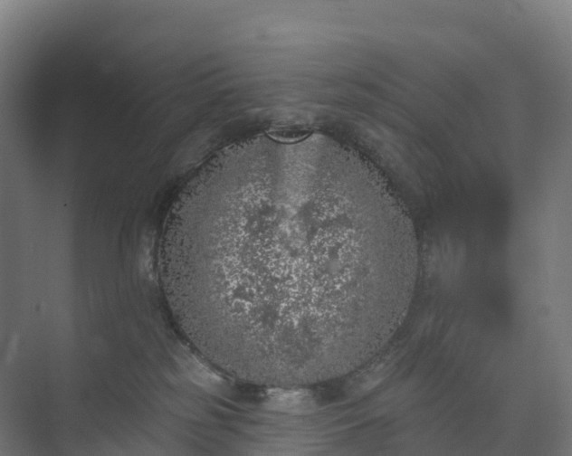 X0000074260185200609011352