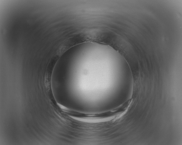 X0000074260186200609011352