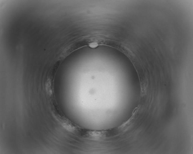 X0000074260187200609011352