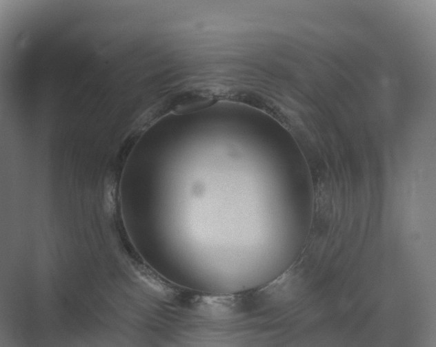 X0000074260188200609011352