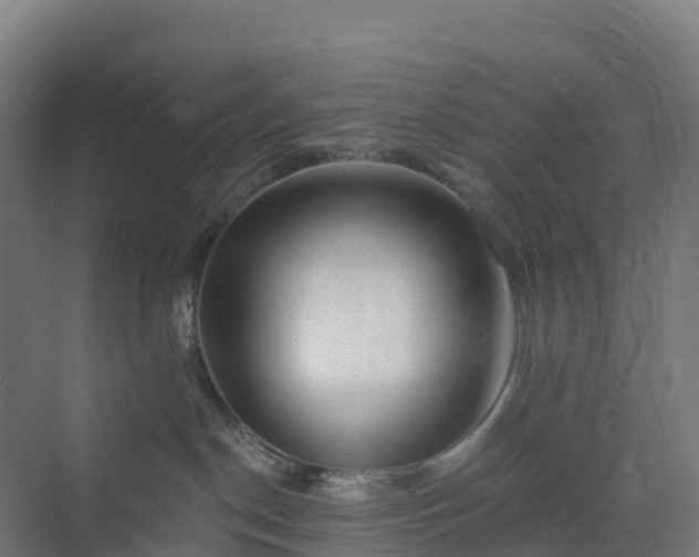 X0000074260190200609011352