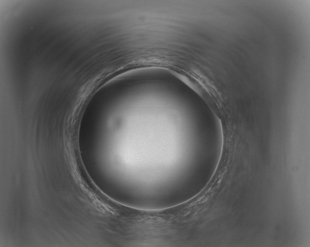 X0000074260193200609011351