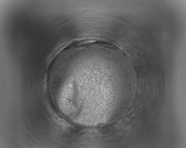 X0000074260194200609011351